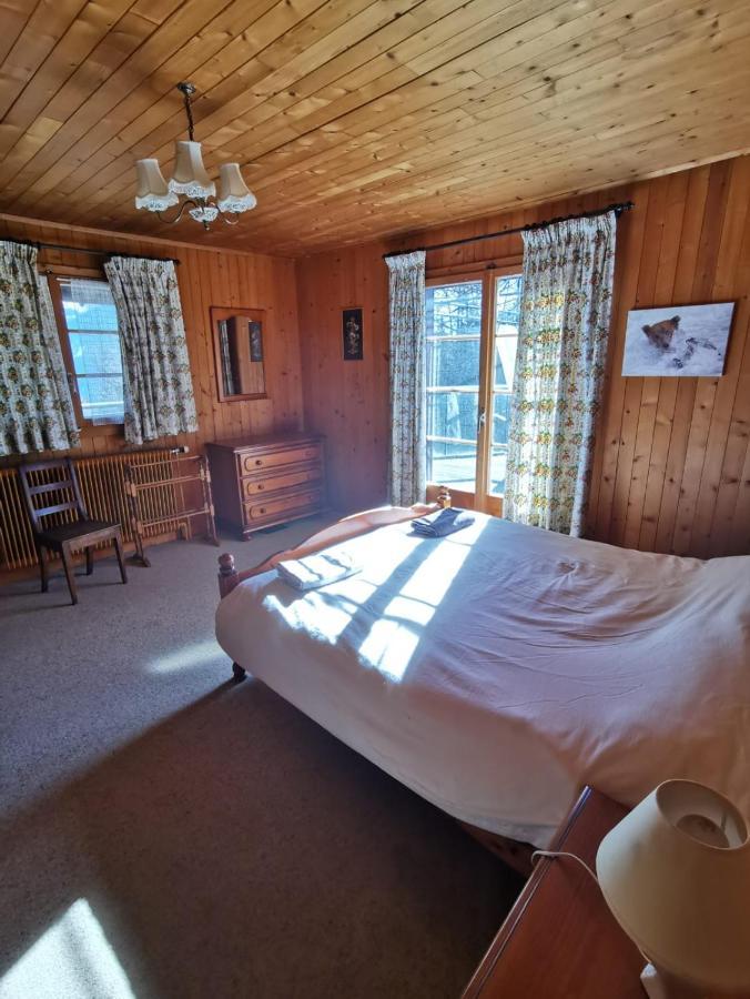 Chalet Traditionnel Avec Jacuzzi Exterieur Bex Ngoại thất bức ảnh